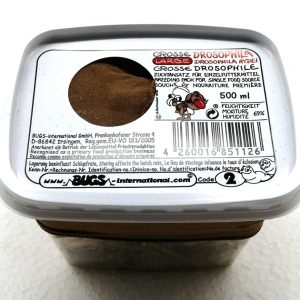 Drosophila