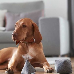 Palla Hundespielzeug