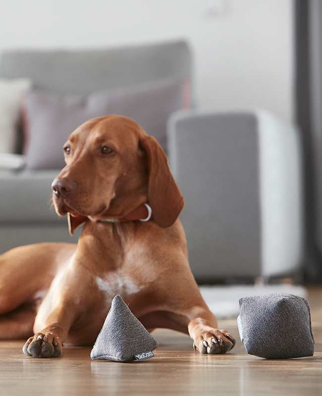 Palla Hundespielzeug
